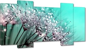 Képek 120x65 Harmatcseppek Pitypang