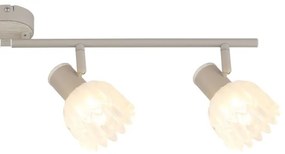 Globo 54317-4 - PLANTA spotlámpa 4xE14/40W/230V