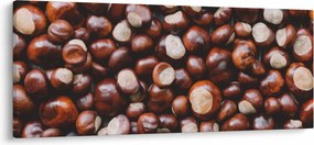 Kép - Érett gesztenye (120x50 cm)