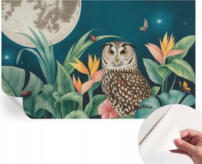 Öntapadós fali fotótapéta Hálószobába Hold szafari 416x254 cm