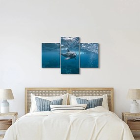 Kép - Delfin a felszín alatt (90x60 cm)