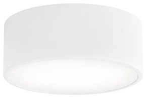 Temar Fürdőszobai mennyezeti lámpa CLEO 1xE27/24W/230V átm. 20 cm fehér IP54 5907623601049
