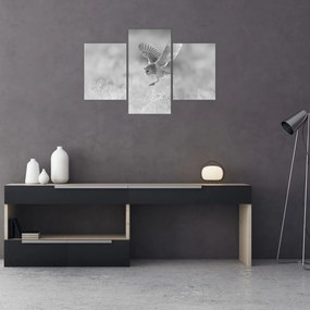 Kép - Bagoly, fekete-fehér (90x60 cm)