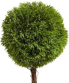 FLORISTA mini cserepes bukszus, 35 cm magas