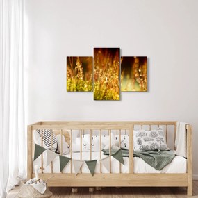 Kép - Harmat részlete (90x60 cm)
