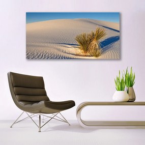 Üvegfotó Fekvő sivatagi homok 120x60cm