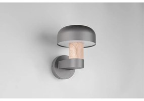 Fali kültéri lámpa (magasság 24,5 cm) Fraser – Trio