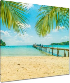 Vászonkép 80x80 Trópusi tájkép