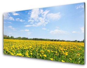 Üvegkép falra Dandelion Meadow 140x70 cm 2 fogas