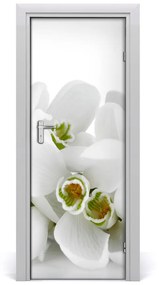 Ajtóposzter fehér hóvirág 75x205 cm