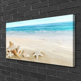 Vászonkép falra tengeri csillag kagyló 140x70 cm