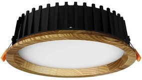 APLED - LED Lámpa RONDO WOODLINE LED/6W/230V 3000K átm. 15 cm kőris tömör fa