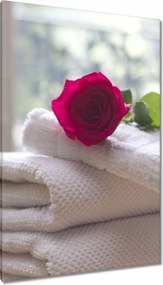 Vászonkép 80x120 Rózsa a szeretetttől