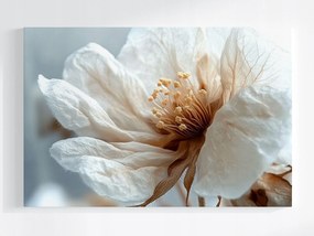 Poszter Fehér Virág Makró Minimalizmus Botanika 120x80