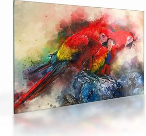 Vörös ara papagájok képe (üvegen) (70x50 cm)