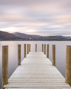 Poszter 40x50cm, Assaf Frank