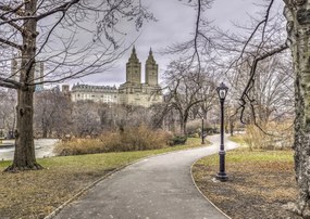 Poszter 59,4x42cm Ösvény a központi parkon át 3, Assaf Frank