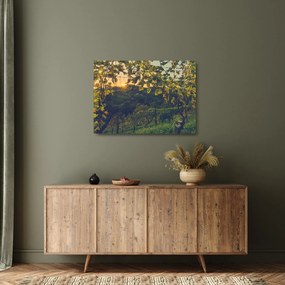 Kép - szőlőültetvény (üvegen) (70x50 cm)