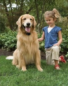 PetSafe® Elektromos kerítés kutyáknak Basic
