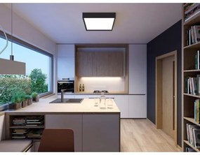 LED2 - LED Mennyezeti lámpa MILO LED/30W/230V fekete 3000/4000K