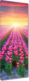 Vászonkép 40x100 Tulipánok tengere Tulipánok