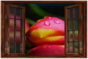 Poszterek 90x60 Tulipánok makró fotó