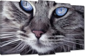 Vászonkép 150x95 Kék szemű cica