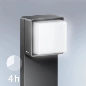 Steinel-LED Dimmelhető kültéri lámpa érzékelővel GL 85 SC 900 LED/9W/230V IP44