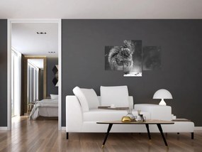 Kép - Mókus télen (90x60 cm)