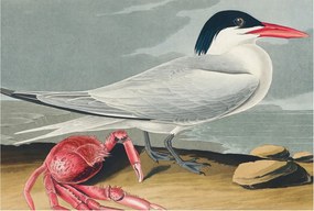 Dekoratív Fotótapéta Hálószobába Tengeri táj 104x70