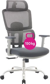 Irodai szék, szürke/króm, teherbírás 150 kg, BYRON