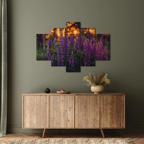 Egy csillagfürt virág képe (150x105 cm)