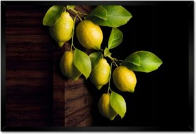 Poszter keretben 60x40 Természetes citrom Citrus