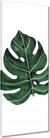 Vászonkép 40x100 Monstera Zöld levél