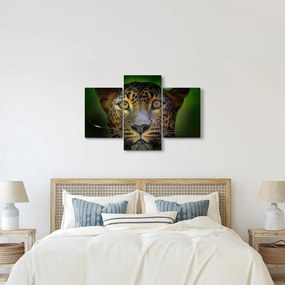 Kép - Leopárd portré, Sri Lanka (90x60 cm)
