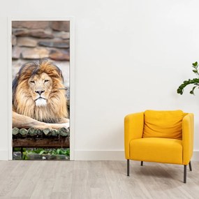 Fotótapéta ajtóra - Oroszlán (95x205cm)