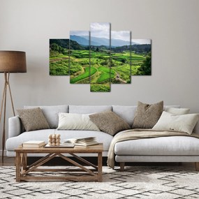 Rizsmező képe (150x105 cm)