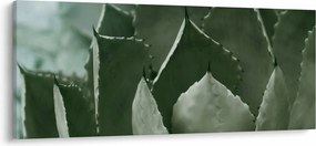 Kép - Zöld agávé (120x50 cm)