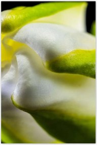 Poszterek 80x120 Nőnap Ajándék Love