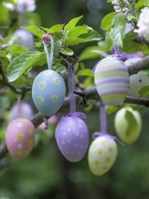 Poszter 30x40cm Húsvéti tojások lógnak az ágakon 3, Assaf Frank