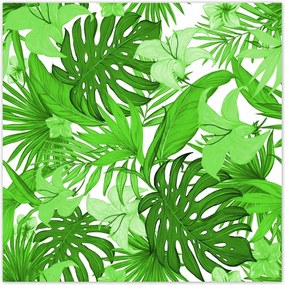Poszterek 100x100 Leaves Monstera New look