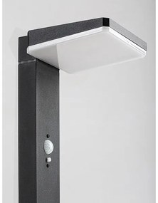 Rabalux 77079 - LASSET LED 4,4W/3,7V IP54 kültéri napelemes lámpa, antracit