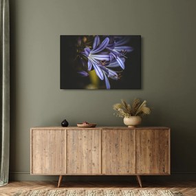 Kép - Lila (90x60 cm)