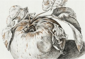 Fotótapéta Flizelin tapéta Hálószoba és Nappali Alma levelek 208x146