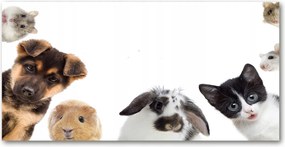 Fotó-üvegkép Háziállatok 140x70