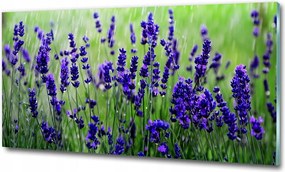 Fotó vászonkép edzett üveg Bambusz 100x70