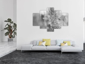 Kép - Boho pampafű (150x105 cm)