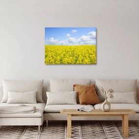 Egy sárga mező képe (70x50 cm)