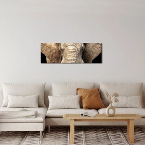 Kép - Afrikai elefánt (órával) (90x30 cm)
