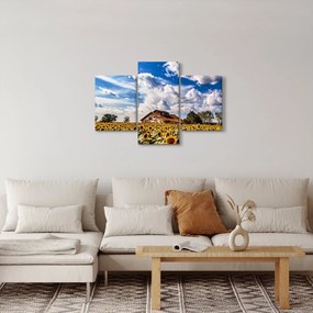 Napraforgó mező képe (90x60 cm)